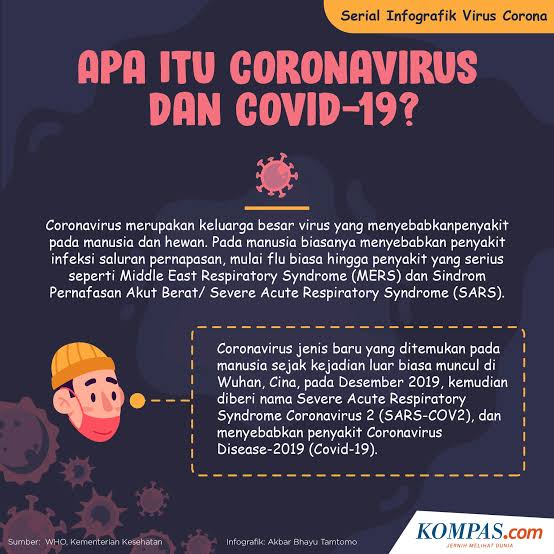 Corona Virus Sars 19